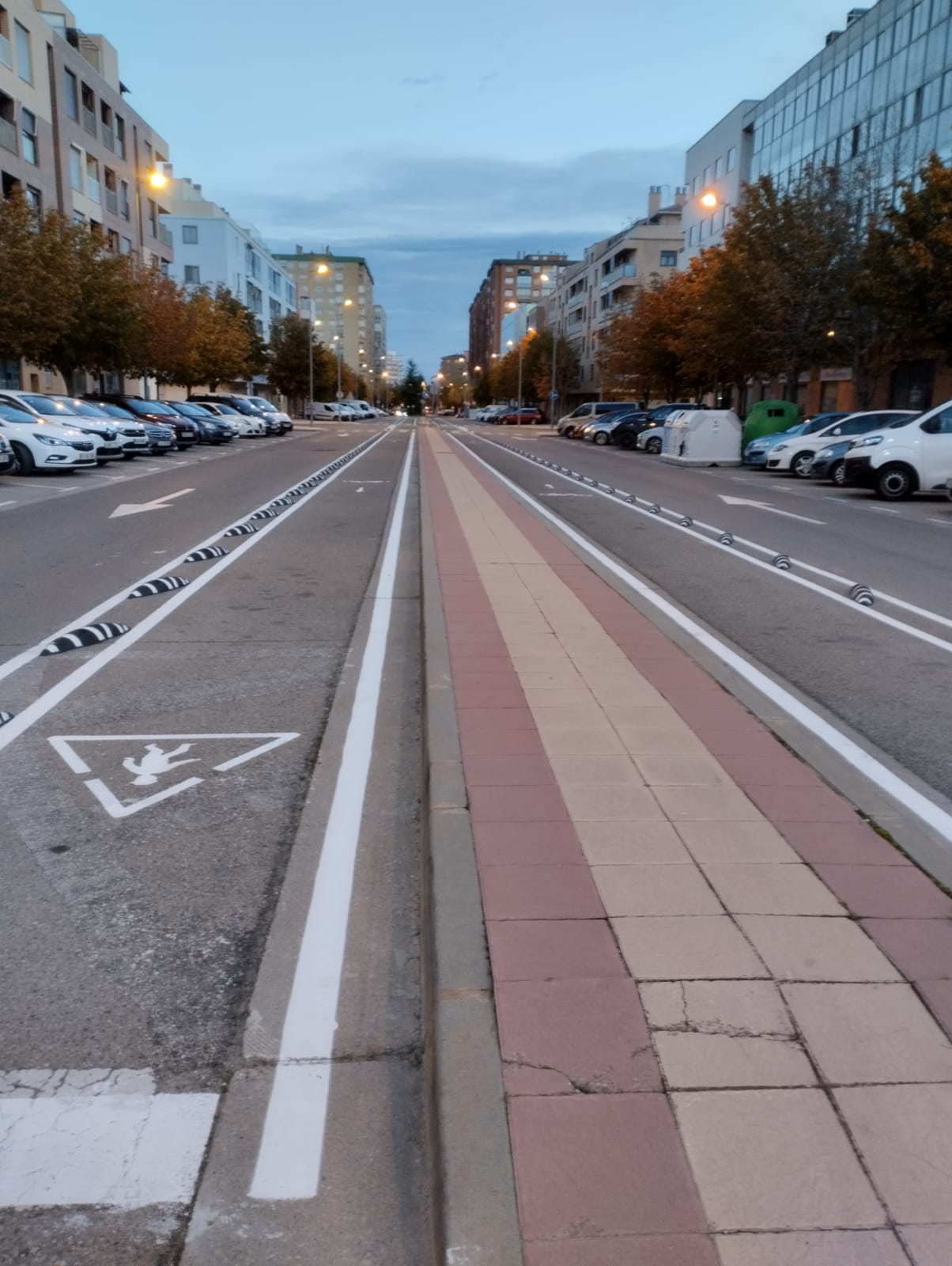 Una de las principales quejas es la eliminación de aparcamientos para el carril bici que no se usa