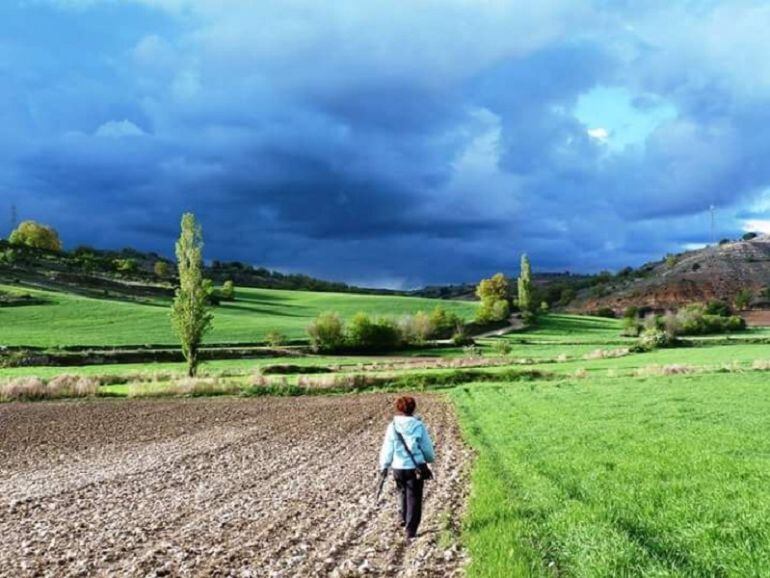 Una mujer pasea por una de las tierras del alfoz raudense.