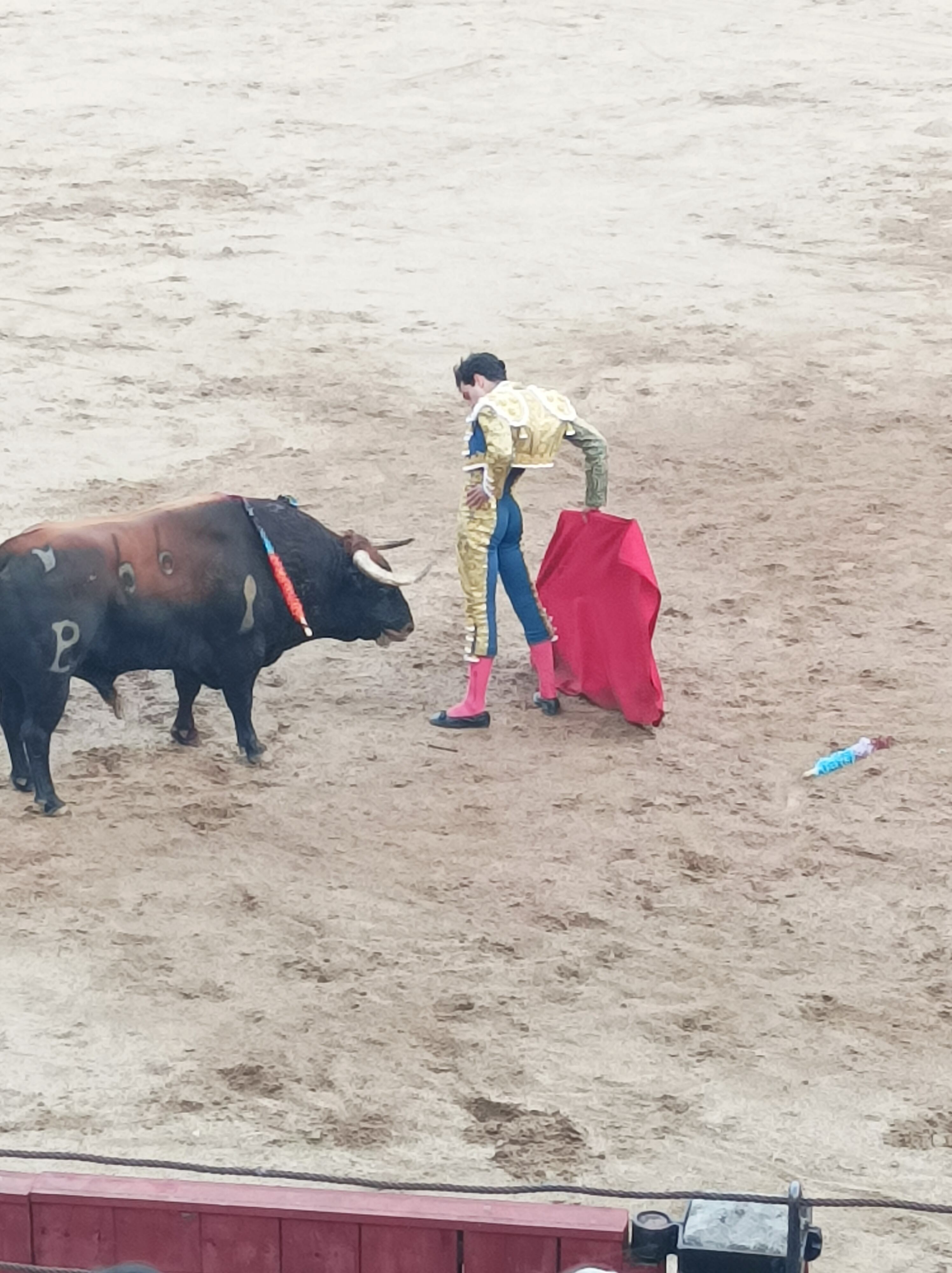 Faena de Tomás Rufo en Talavera