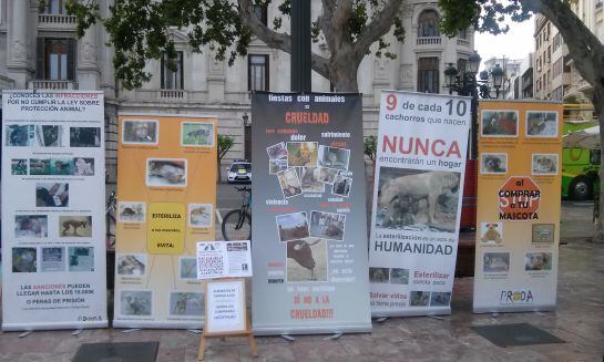 Pancartas en favor de los derechos de los animales en la Plaza del Ayuntamiento