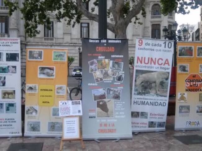 Pancartas en favor de los derechos de los animales en la Plaza del Ayuntamiento