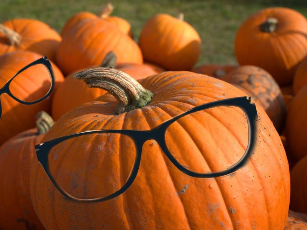 ¿Qué relación tiene una óptica con la noche de Halloween?