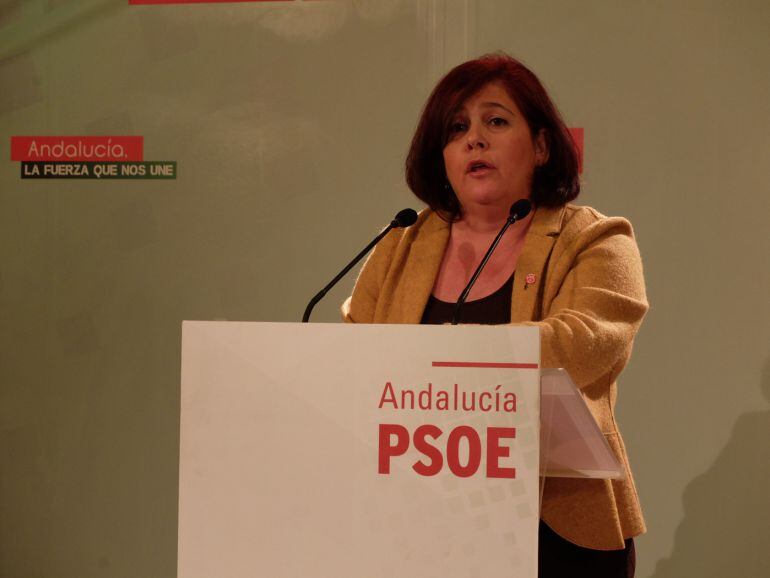 Rueda de prensa de la diputada del PSOE por Granada Elvira Ramón