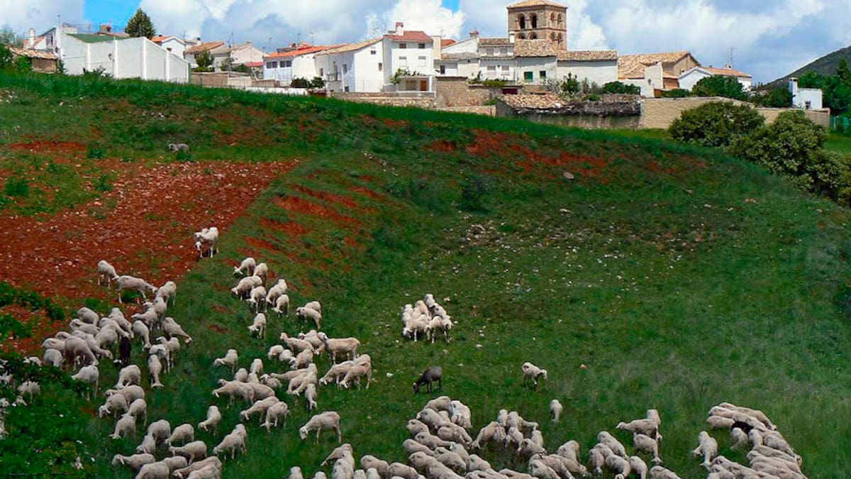 Desde Valdeolivas hasta San Quílez y la piedra Molón, en la Alcarria de Cuenca