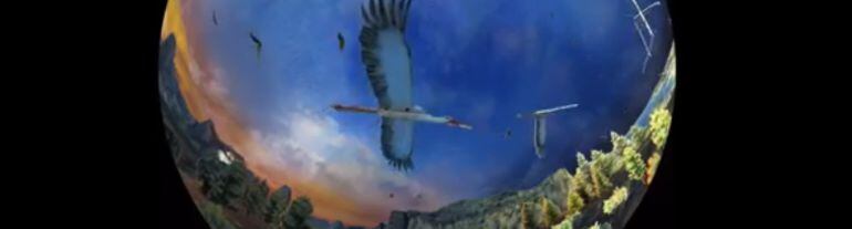 El ducumental 'En las alas de la noche' se proyecta en la cúputa del planetario del museo.