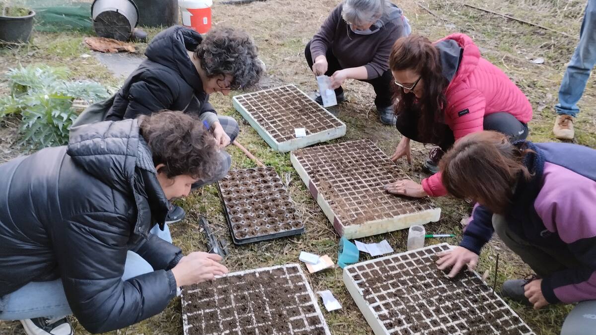 Los Guardianes de la Biodiversidad del Somontano comienzan la siembra hortícola