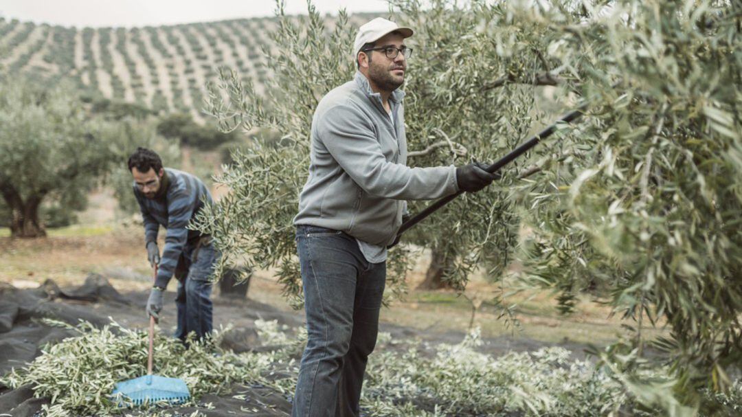 La agricultura, el sector donde más baja el paro