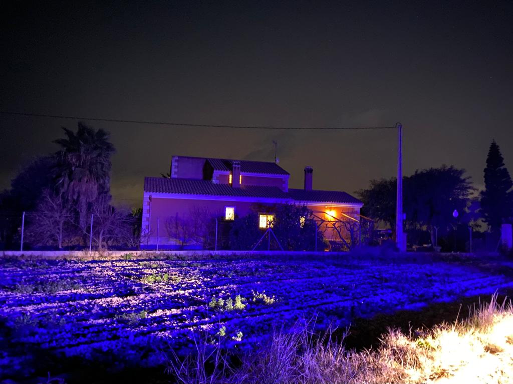 Domicilio Familiar donde ocurrió el triple asesinato de Algoda, Elche.
