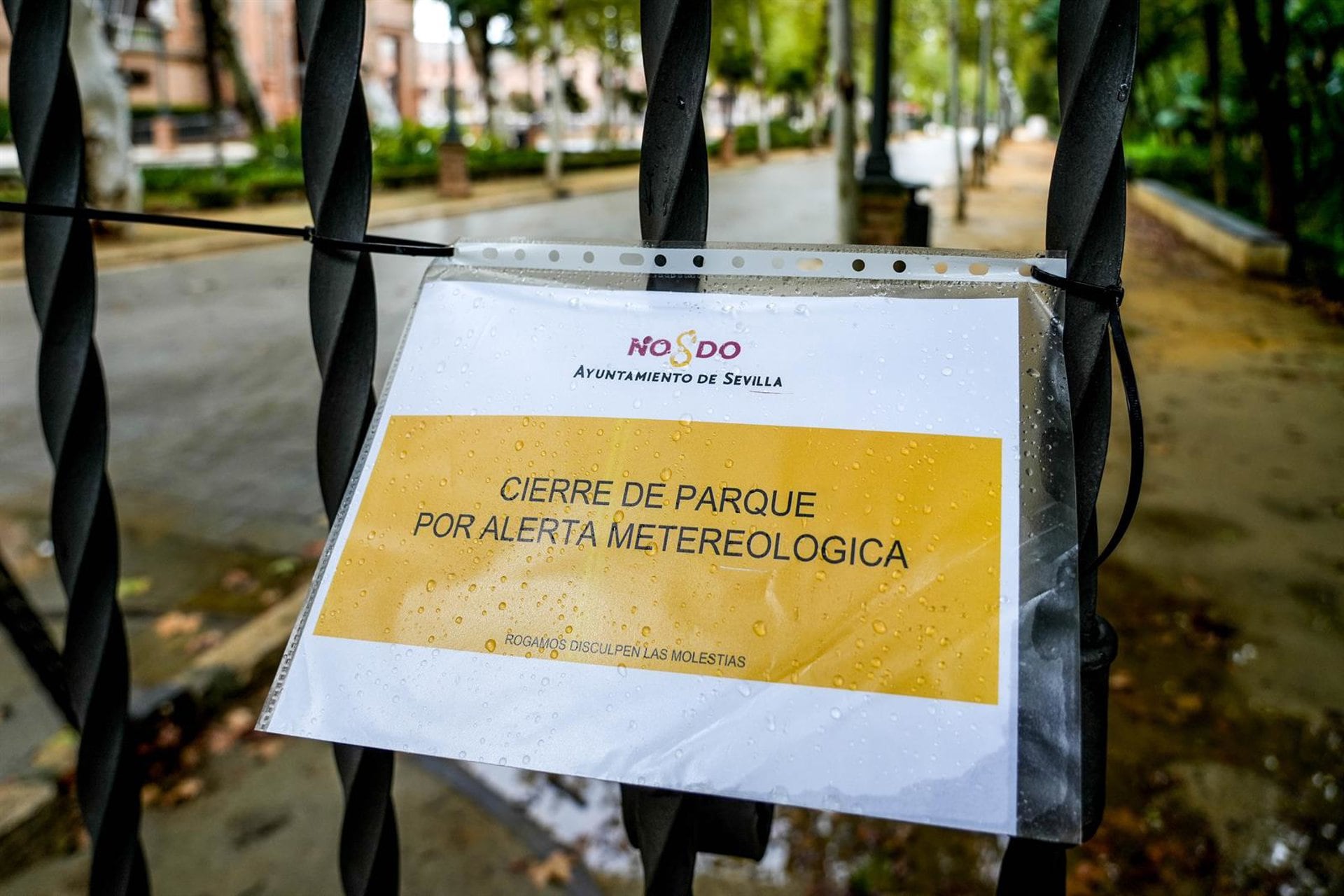 19/10/2023 Cartel en una reja de entrada al Parque de María Luisa que indica el cierre por alerta meteorológica, a 19 de octubre del 2023 en Sevilla (Andalucía, España). El Ayuntamiento de Sevilla ha cerrado de manera "preventiva" los parques públicos de la ciudad ante la predicción de lluvias y vientos  en la que la Agencia Estatal de Meteorología (Aemet) ha activado, el aviso amarillo por rachas de viento.POLITICA 
Eduardo Briones - Europa Press
