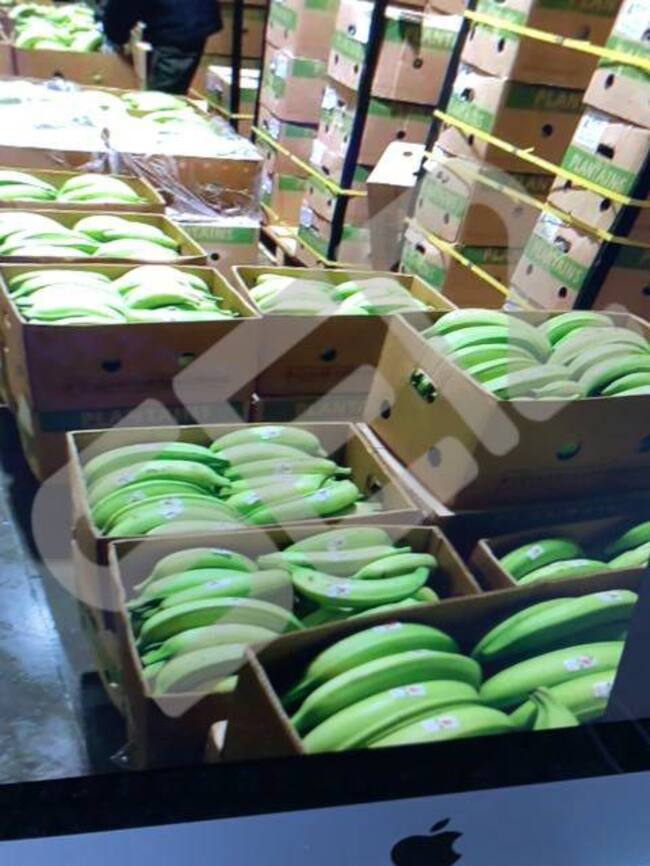 Imágenes del mayor alijo de cocaína incautado en España