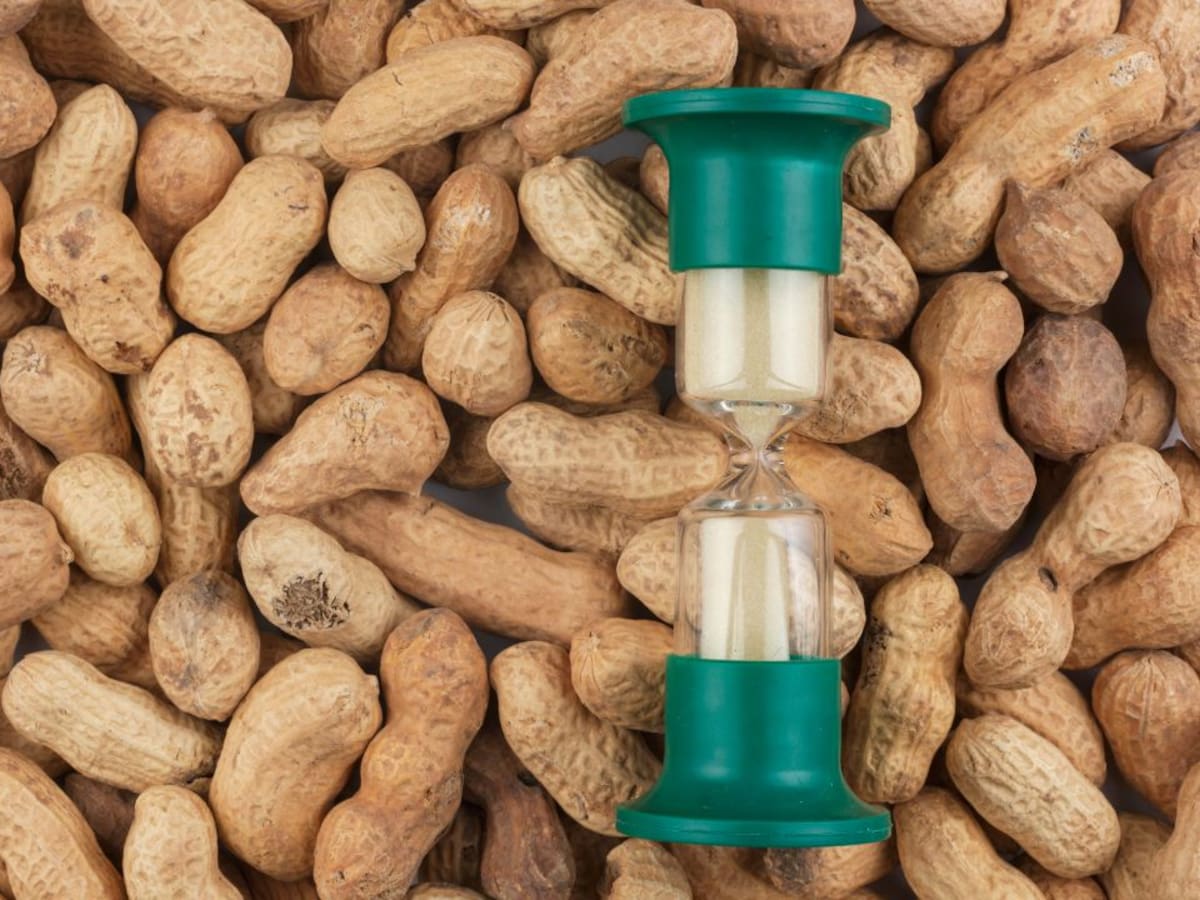 La llavor (15/05/2021)