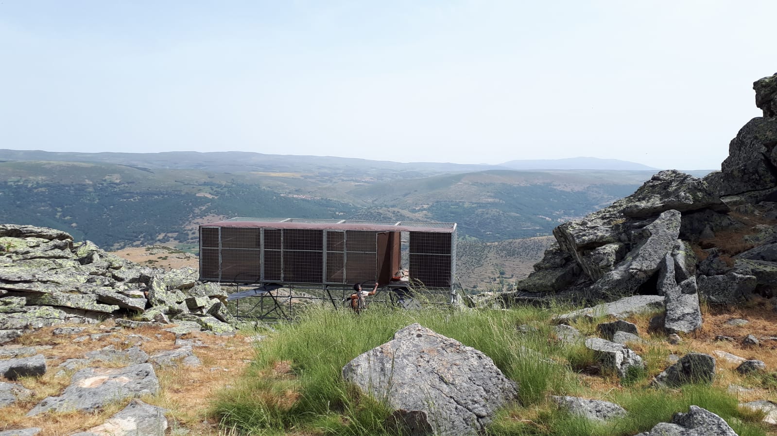 Jaulas instaladas en Gredos para la introducción del quebrantahuesos