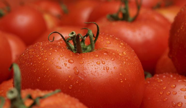 Imagen de recurso de unos tomates