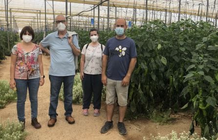 Ana Arévalo, Juan José Millás, Pilar Santorromán y Santi en su invernadero en Almería