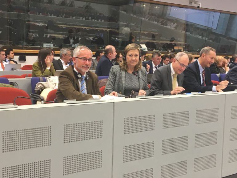 La consejera Pilar del olmo y el director de Energia y Minas, Ricado González Mantero, participan en la constitución de los grupos de trabajo de la Plataforma de Regiones Carboneras en Transición que promueve la UE 