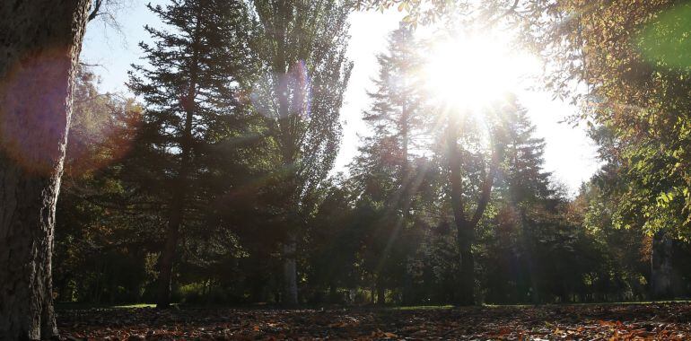Castilla-La Mancha tendrá un otoño cálido y seco, según la previsión de la AEMET