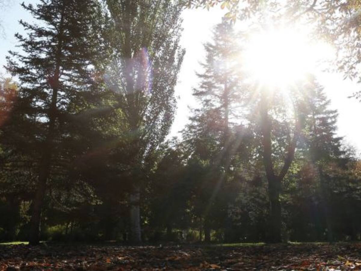 El otoño será como el verano en Castilla-La Mancha: cálido y seco