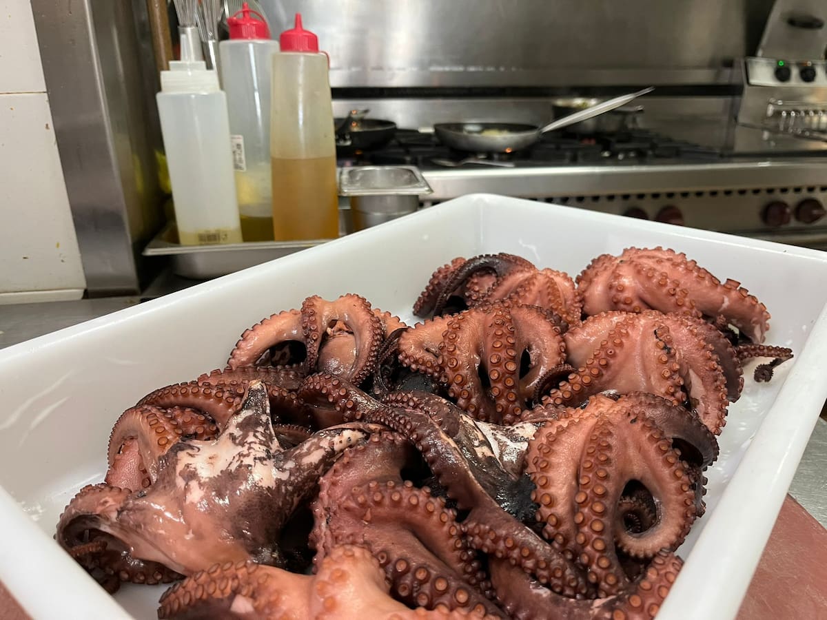 Asturias planteará a las cofradías una parada biológica en la pesquería de pulpo