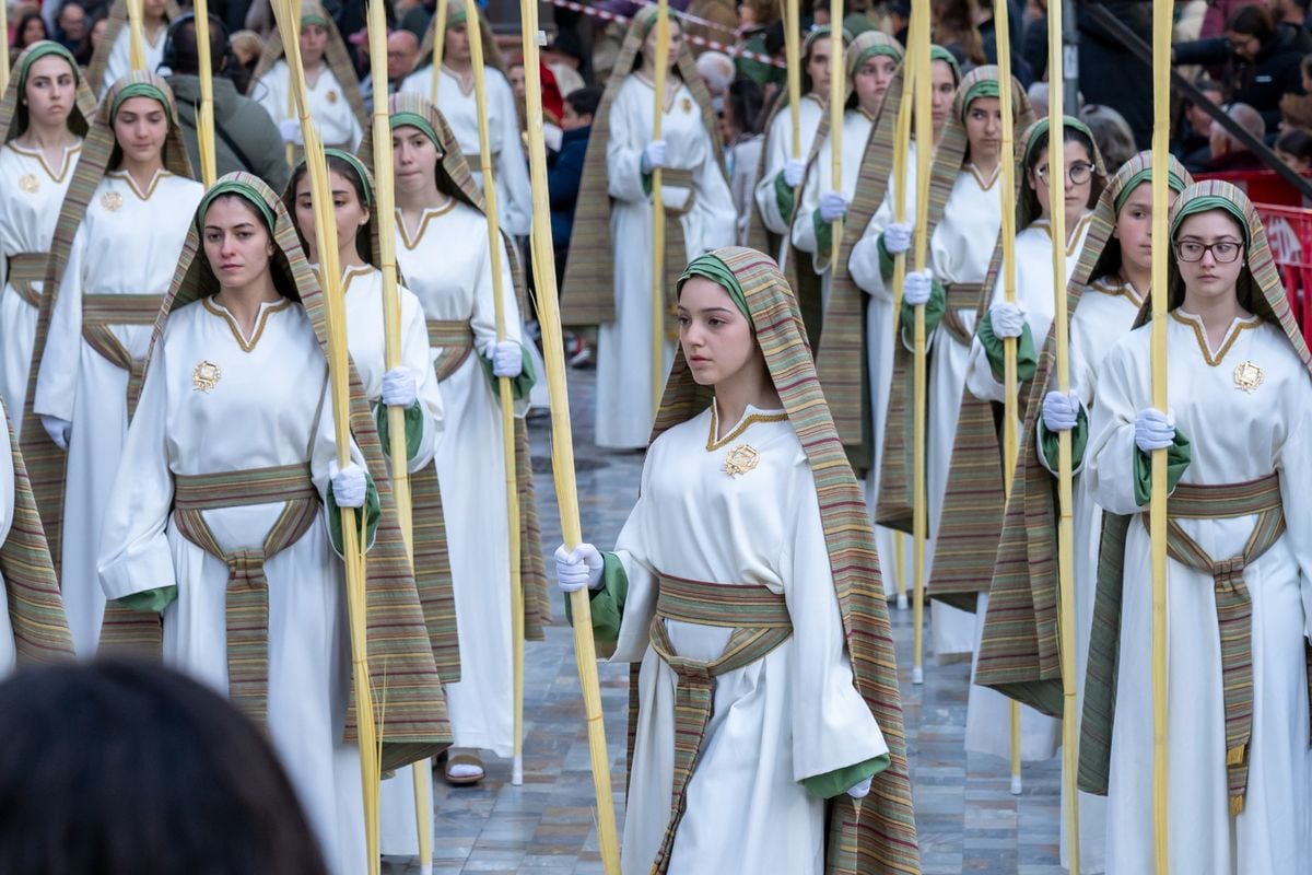 Domingo de Ramos en Cartagena