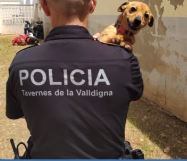 Un policía local de Tavernes junto al perro rescatado.