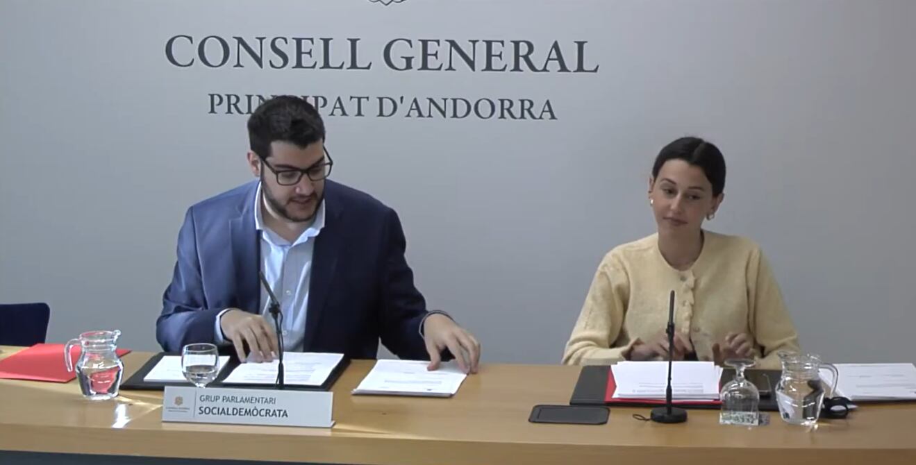 Els consellers generals del grup parlamentari socialdemòcrata, Pere Baró i Laia Moliné