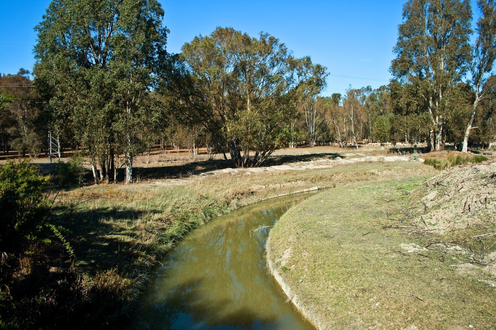 Recorrido por la Cañada del Carrillo