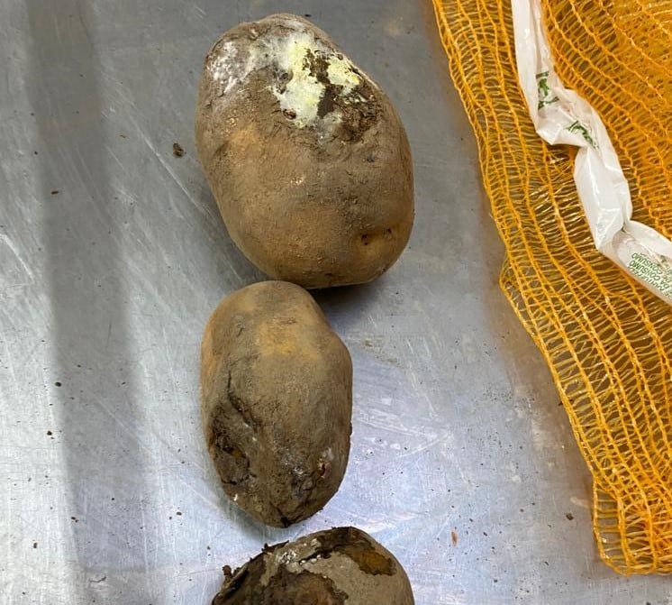 Patatas podridas enviadas a una residencia de mayores