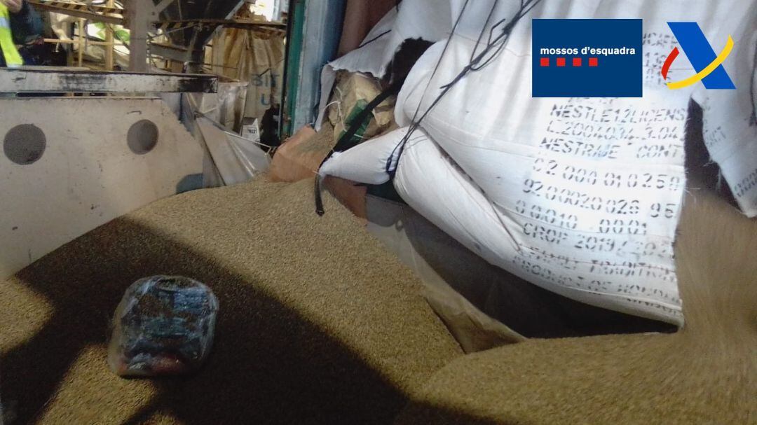 Interceptats prop de 250 kg de cocaïna al port de Barcelona