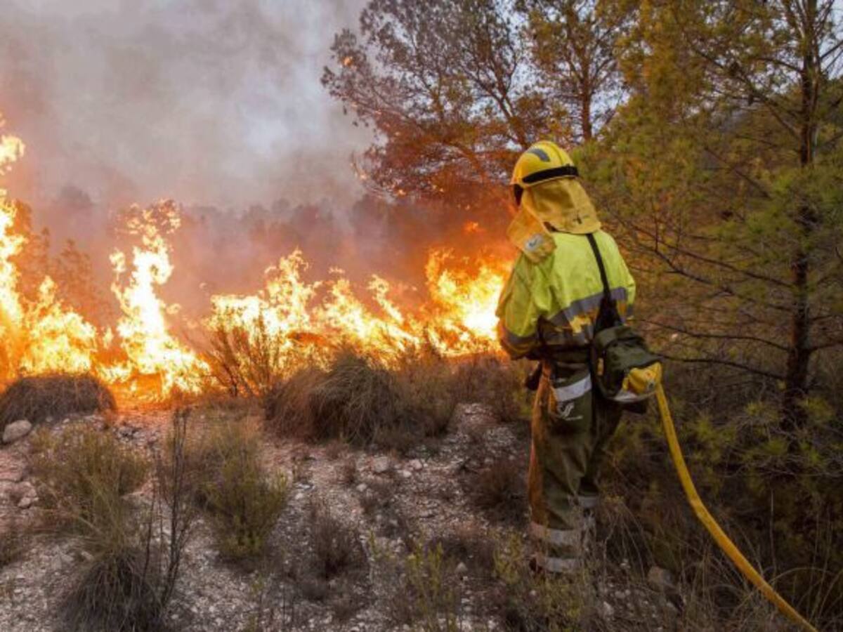 Controlado el incendio de "Cerro Negro" en Talavera