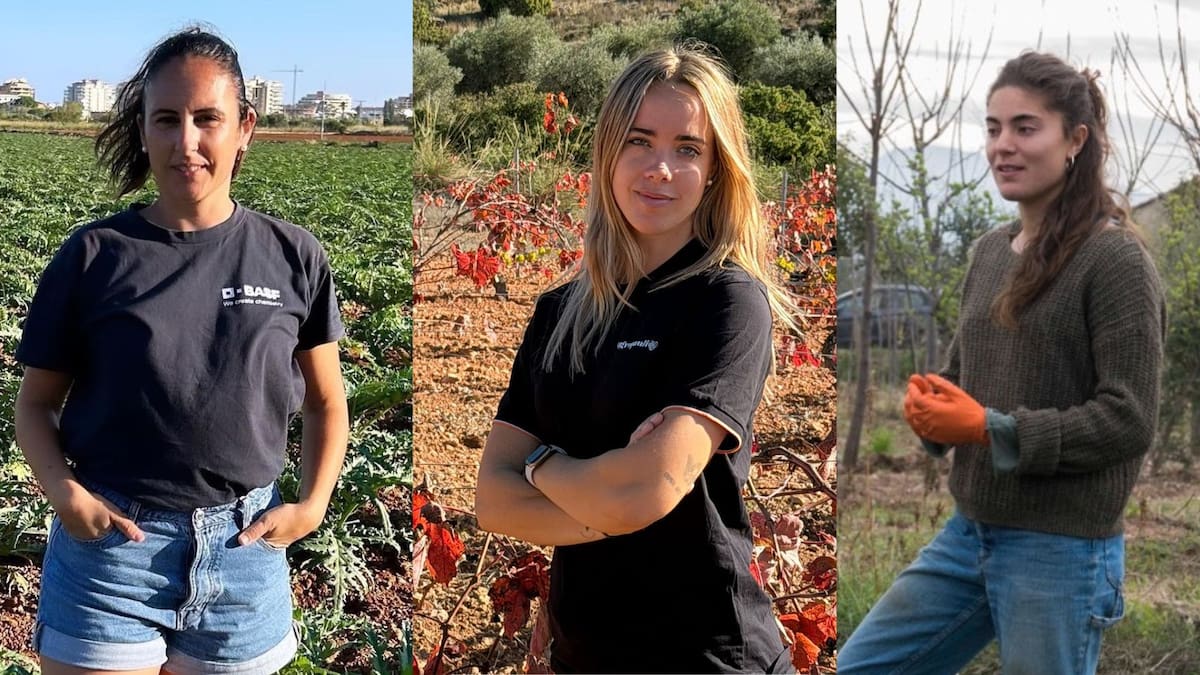 Entrevista a tres agricultoras valencianas en Hoy por Hoy CV con motivo de la declaración en 2026 como Año Internacional de la Agricultora