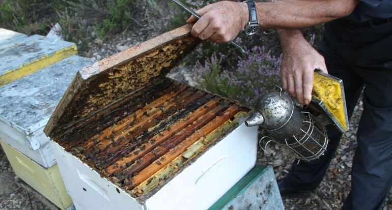 Un apicultor en plena feina.