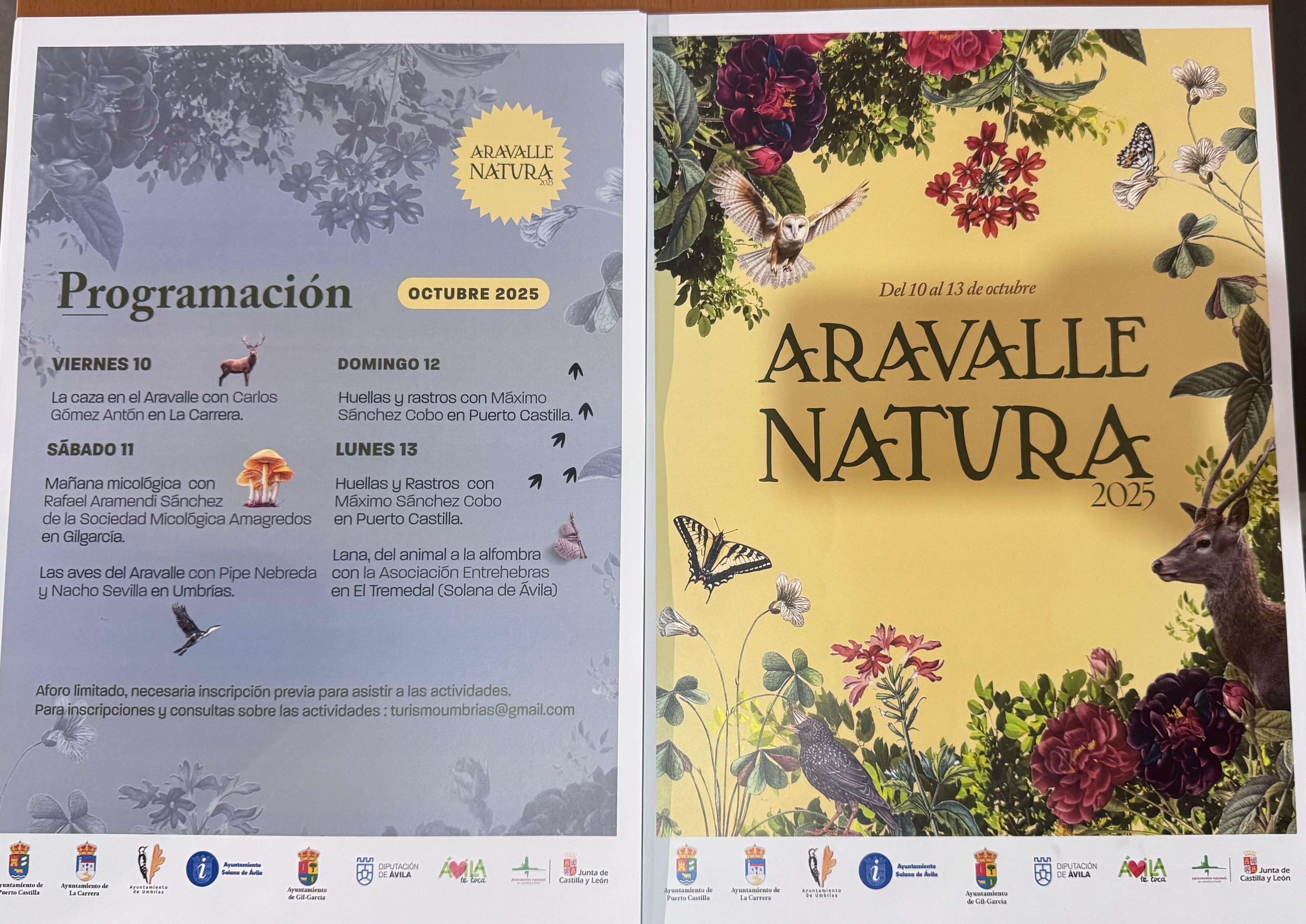 Programa de las jornadas