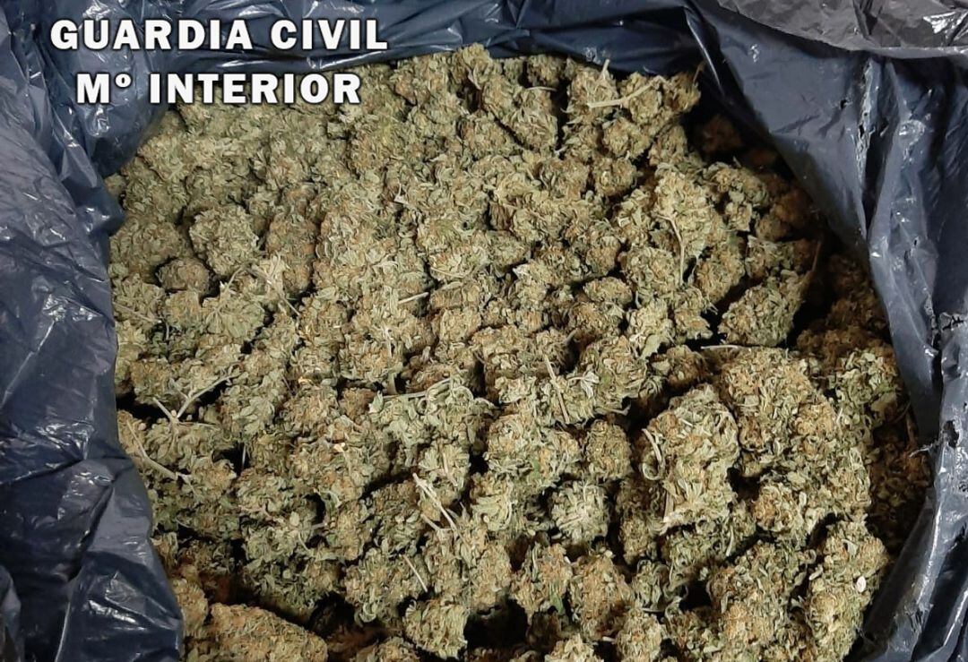 Marihuana incautada por la Guardia Civil en esta operación.