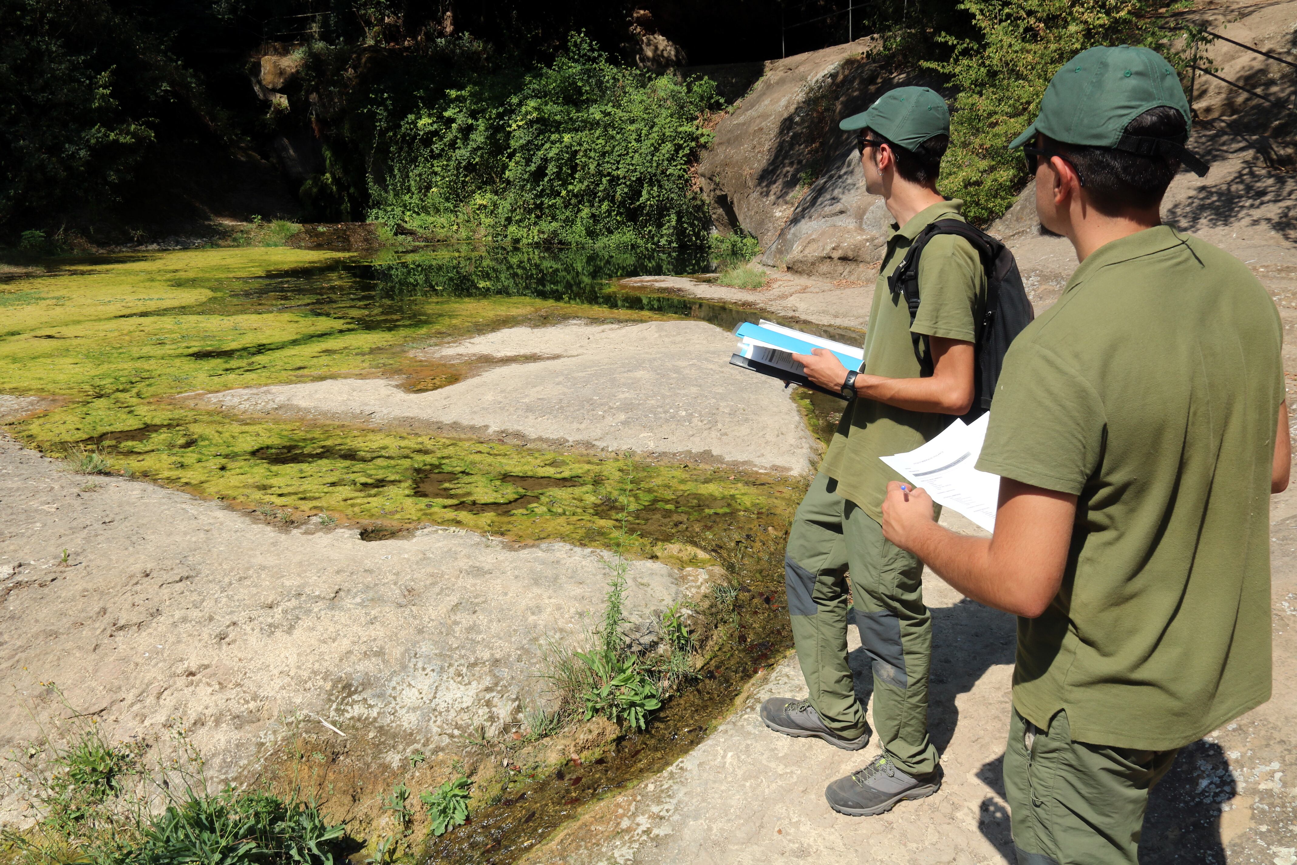 Dos dels informadors del pla pilot