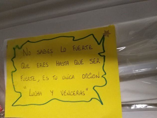 Las bandejas vienen con mensaje