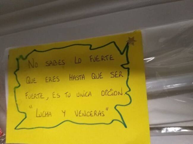 Las bandejas vienen con mensaje