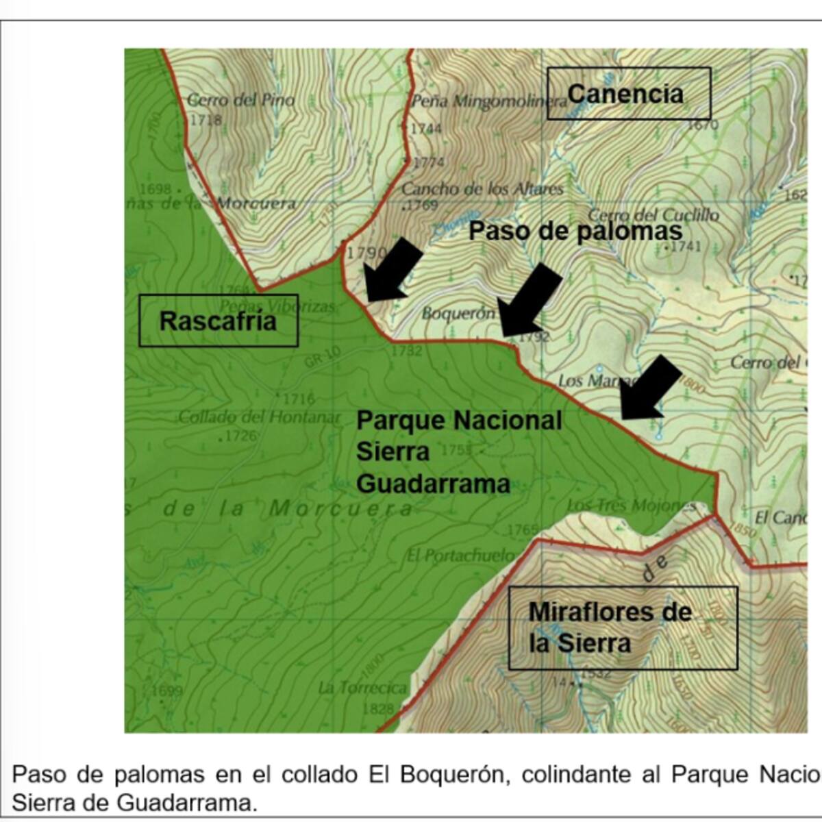 Ecologistas denuncian el inicio de la matanza masiva de palomas migratorias y zorzales en la sierra de Guadarrama