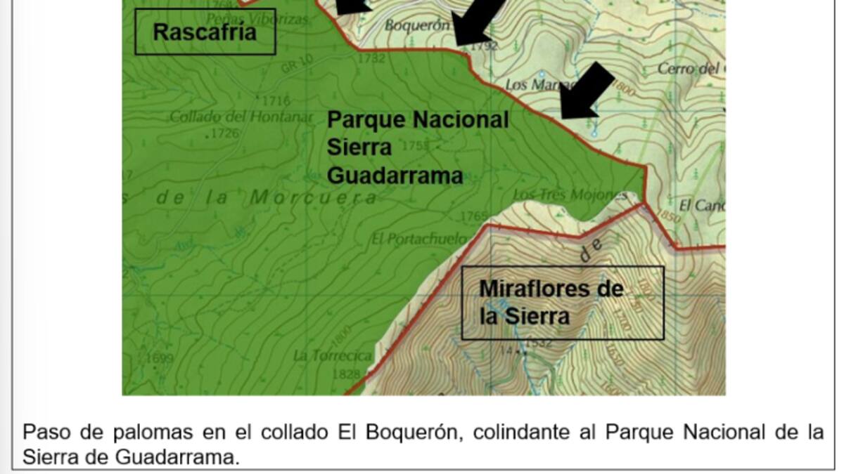 Hablamos con Mari Ángeles Nieto, portavoz de GRAMA, que denuncian matanza de palomas migratorias y zorzales a las puertas del Parque Nacional de la Sierra de Guadarrama