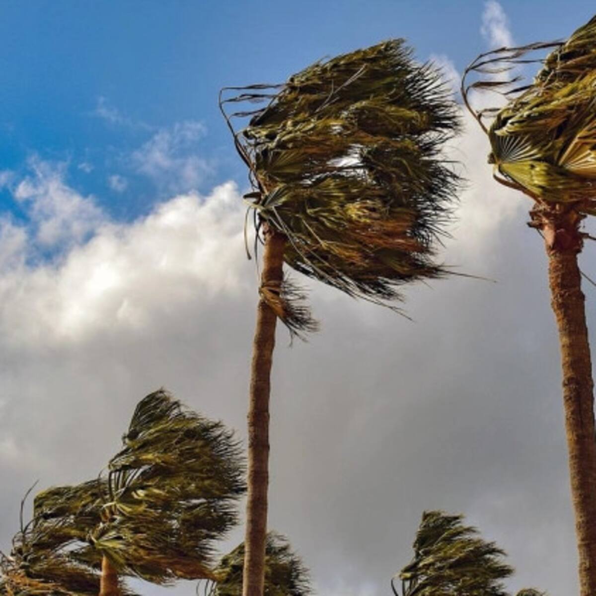 Termina el desembalse de la presa de Los Caballeros y Málaga cierra sus parques ante las fuertes rachas de viento