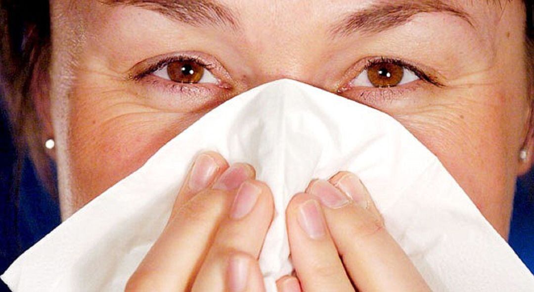 La Diputación Foral de Bizkaia ha adoptado este martes esta medida, que supone que se no se llevará a cabo ninguna recogida selectiva de estos elementos.