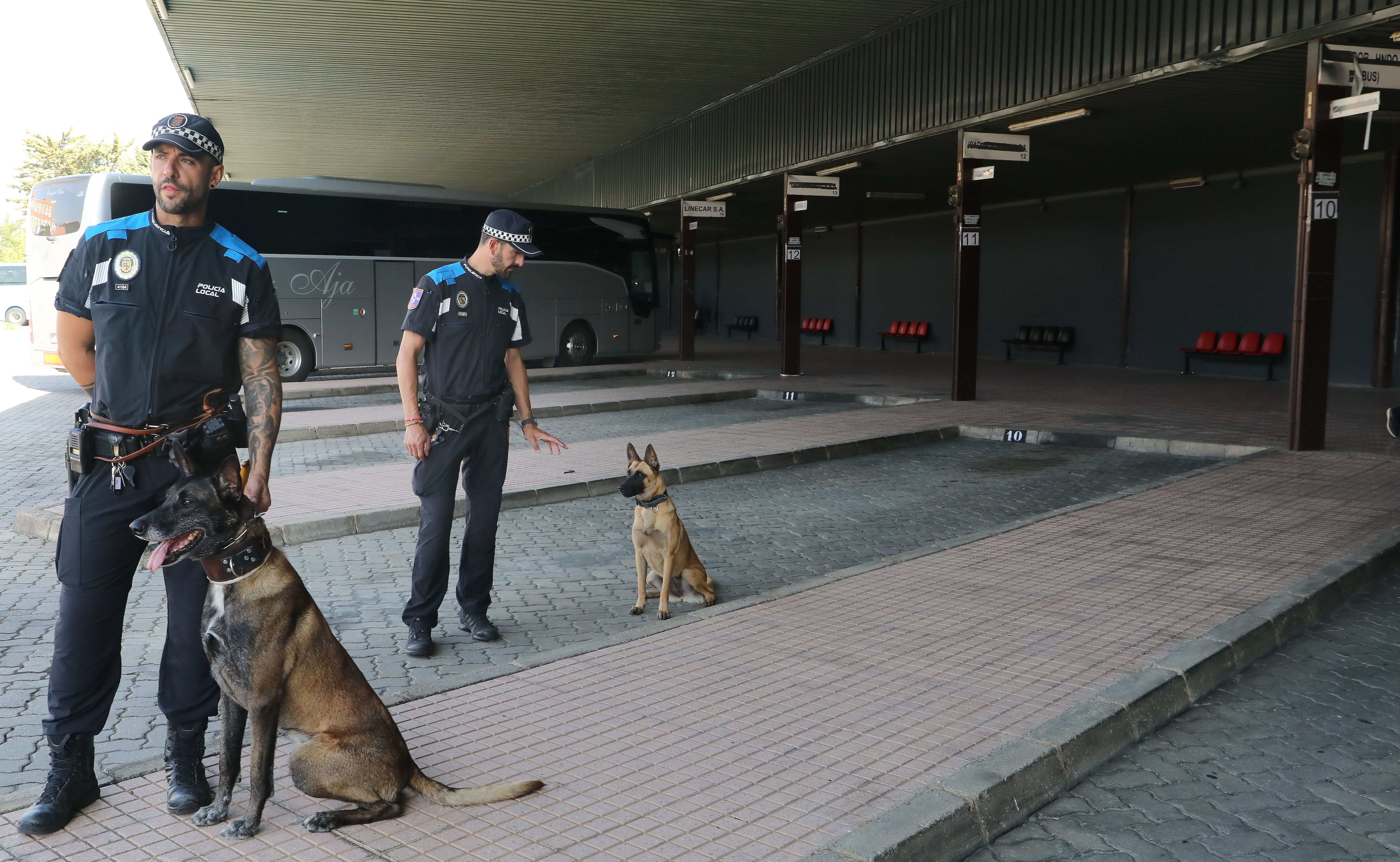 Unidad canina de la policía local de Palencia