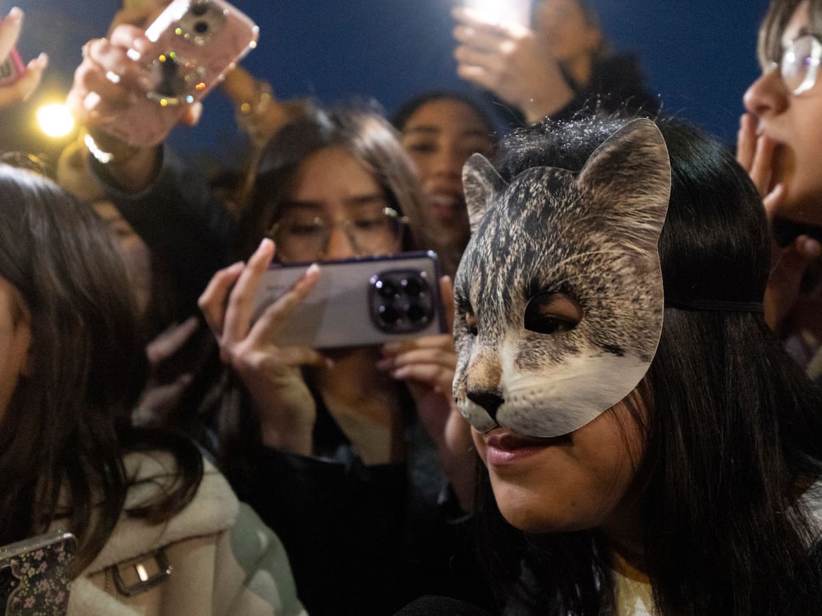 Therians: una moda mínima convertida en un incendio social