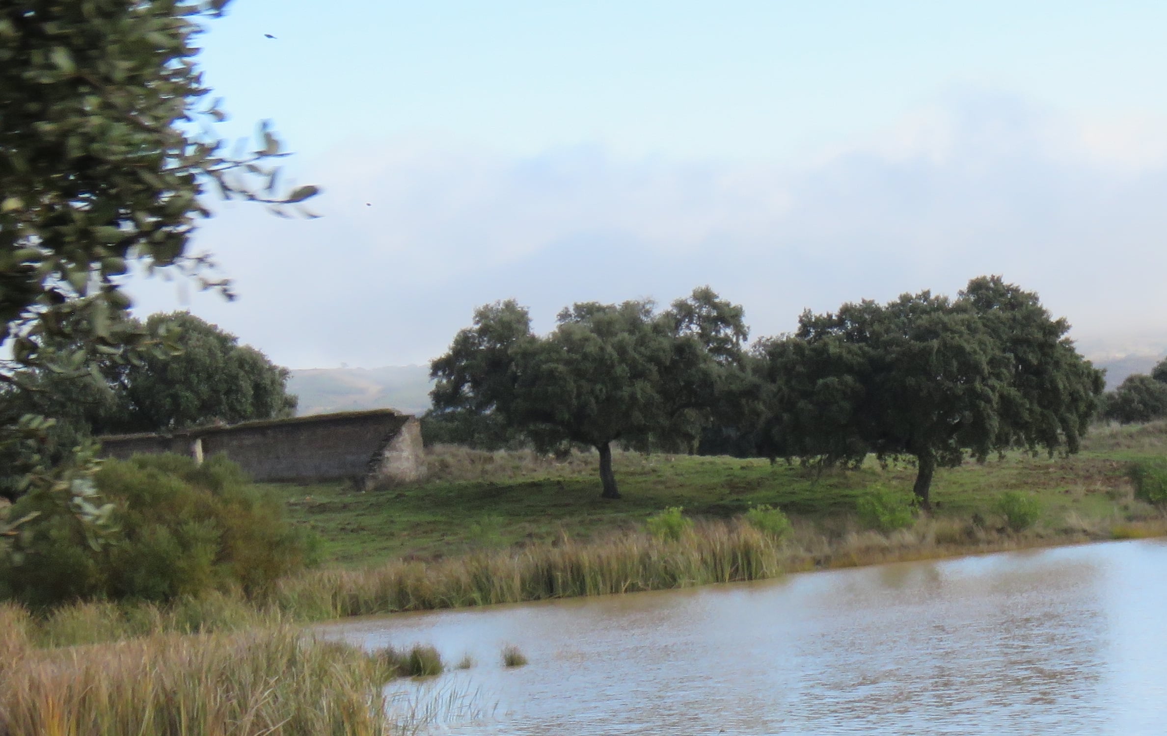 Lago de Cerro Muriano en el que murieron ahogados un cabo y un soldado en un ejercicio de instrucción en diciembre de 2023