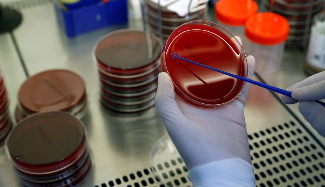 Imatge d'arxiu d'un laboratori