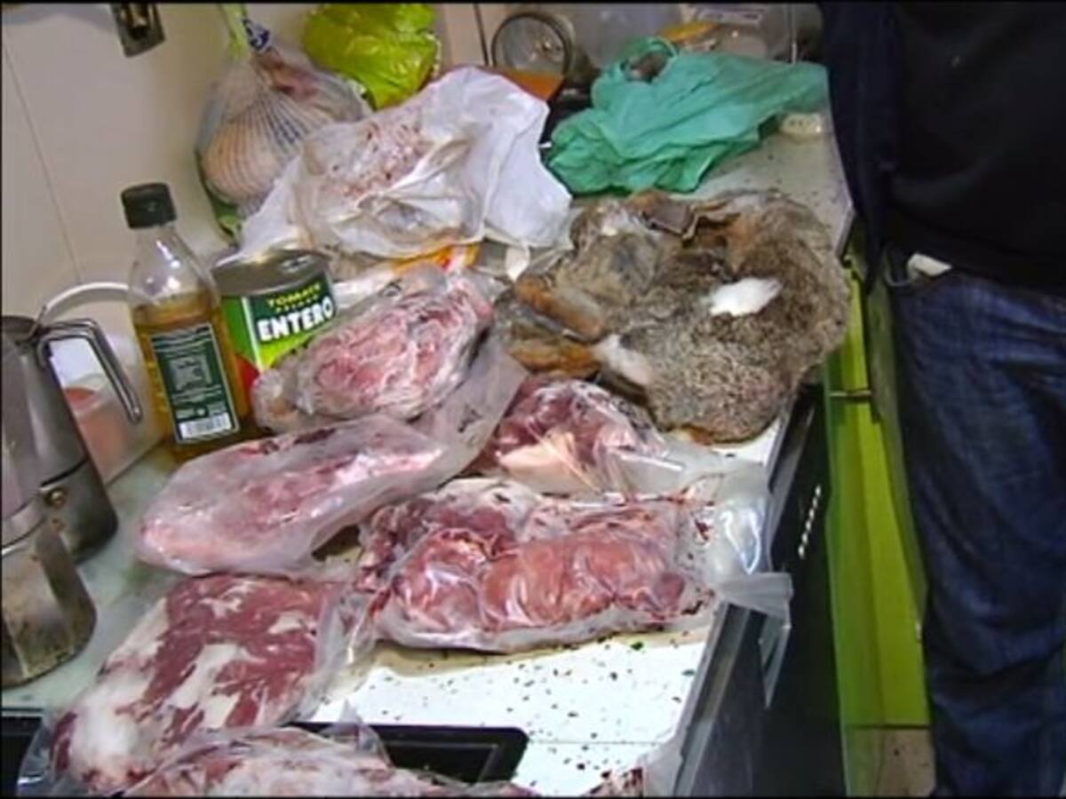 Un anuncio por palabras para pedir carne de caza para sus hijos