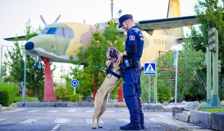 Alpha y Roberto se formarán durante el próximo medio año en la Escuela Cinológica de la Defensa.