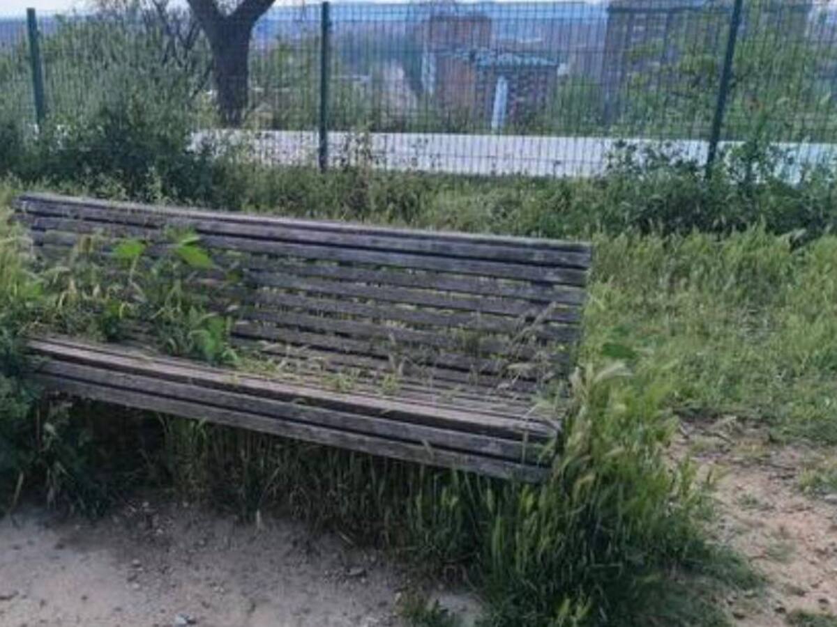 El Ayuntamiento espera limpiar en breve los parques caninos llenos de maleza y abrirá dos nuevos antes de verano
