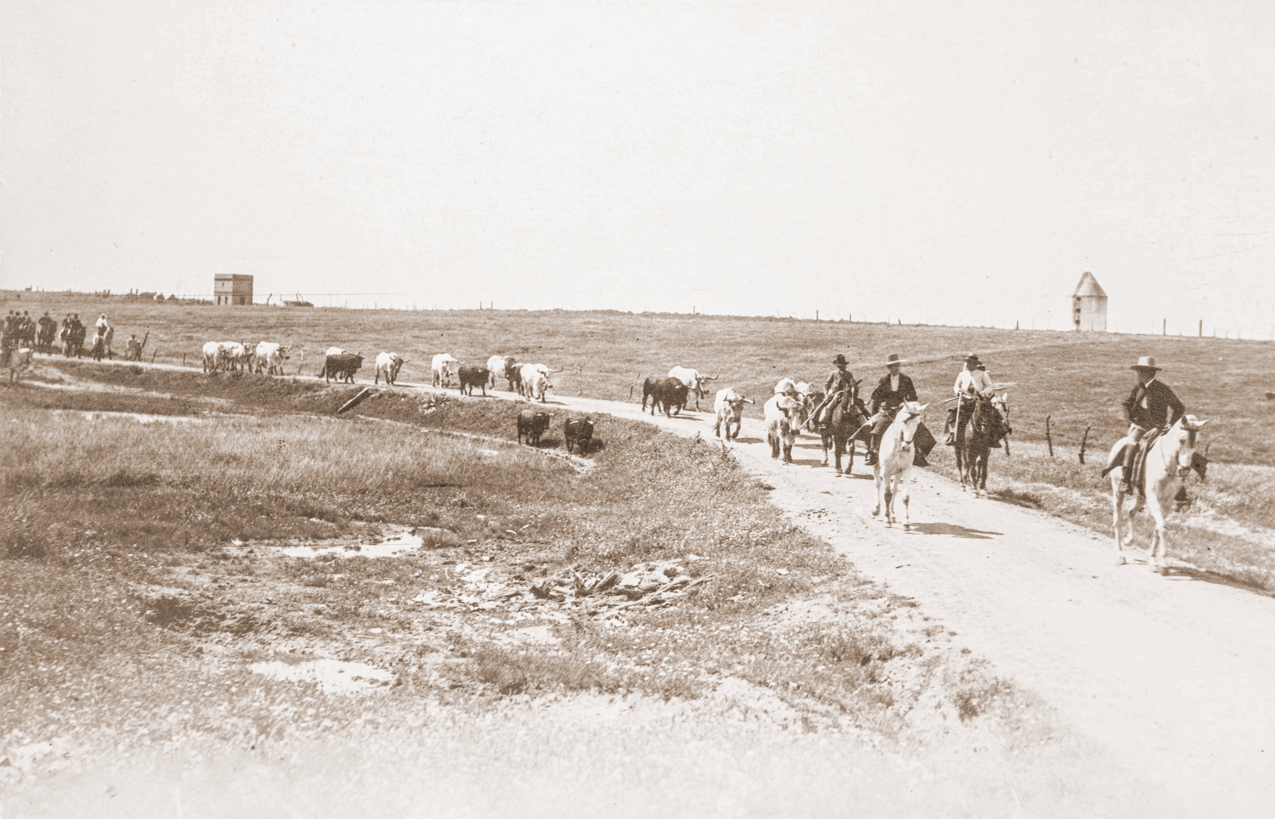 Imagen del libro &#039;Memorias del campo bravo. Cien años de fotografía inédita 1860-1960&#039;