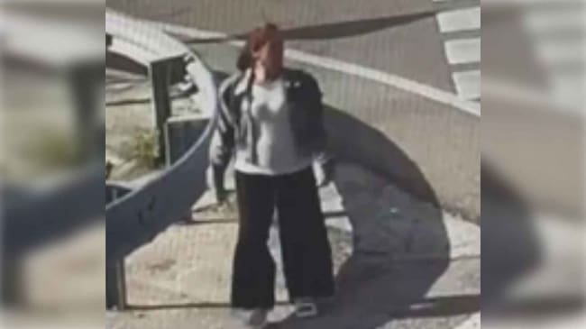 Las cámaras de tráfico muestran a Orlinda Marín Trujillo en las inmediaciones del Aeropuerto de Madrid-Barajas tras su llegada a la T-4 desde Ibiza.