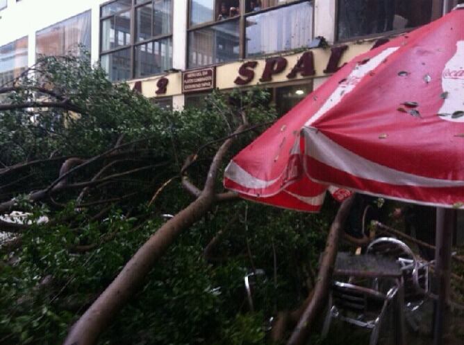 Imagen de las ramas que el viento ha derribado esta mañana en la Plaza de la Encarnación, cayendo sobre los veladores de la cafetería Spala.